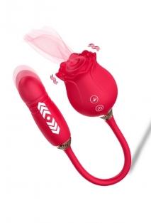 ileri geri hareketli Vibrat�r ve G�l vakum